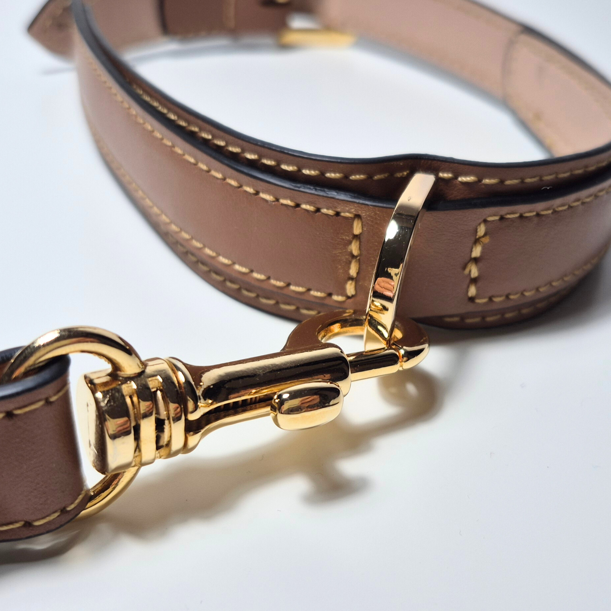 Set Collare e Guinzaglio in Pelle con Porta Sacchetti
